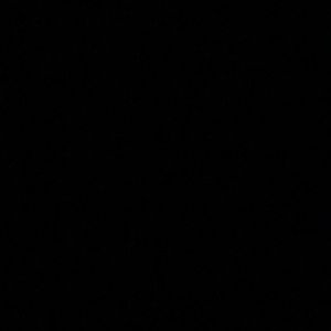 Meet your Posher, Faith